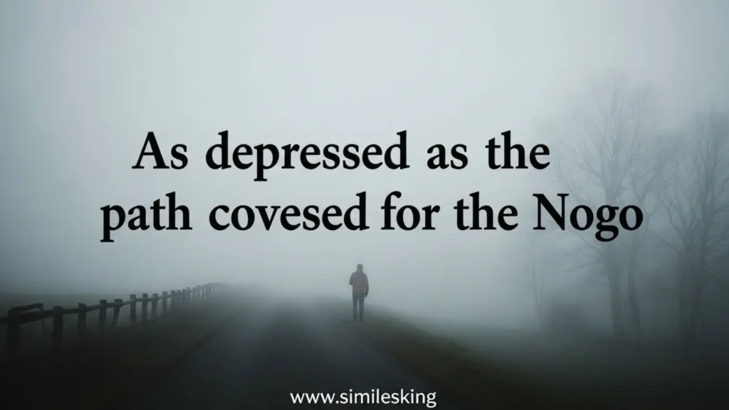 As depressed as a path covered in fog