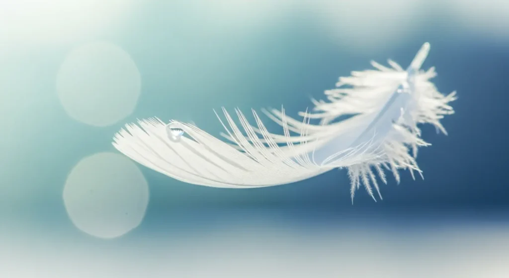 As soft as a feather