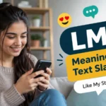 LMS Meaning Text Slang