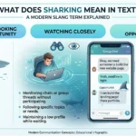 Sharking Meaning Slang